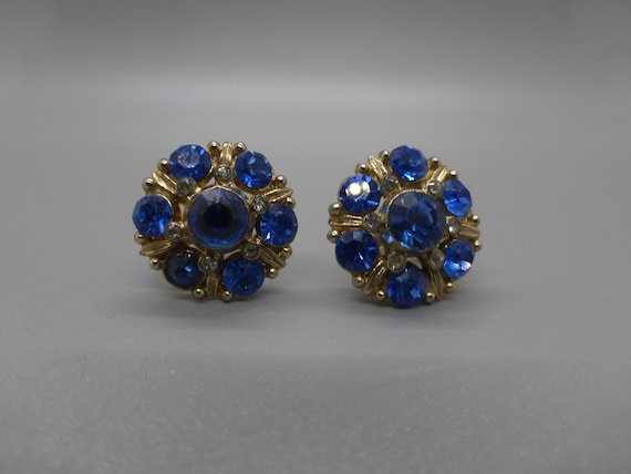 Blue Rhinestone Earrings - image 1