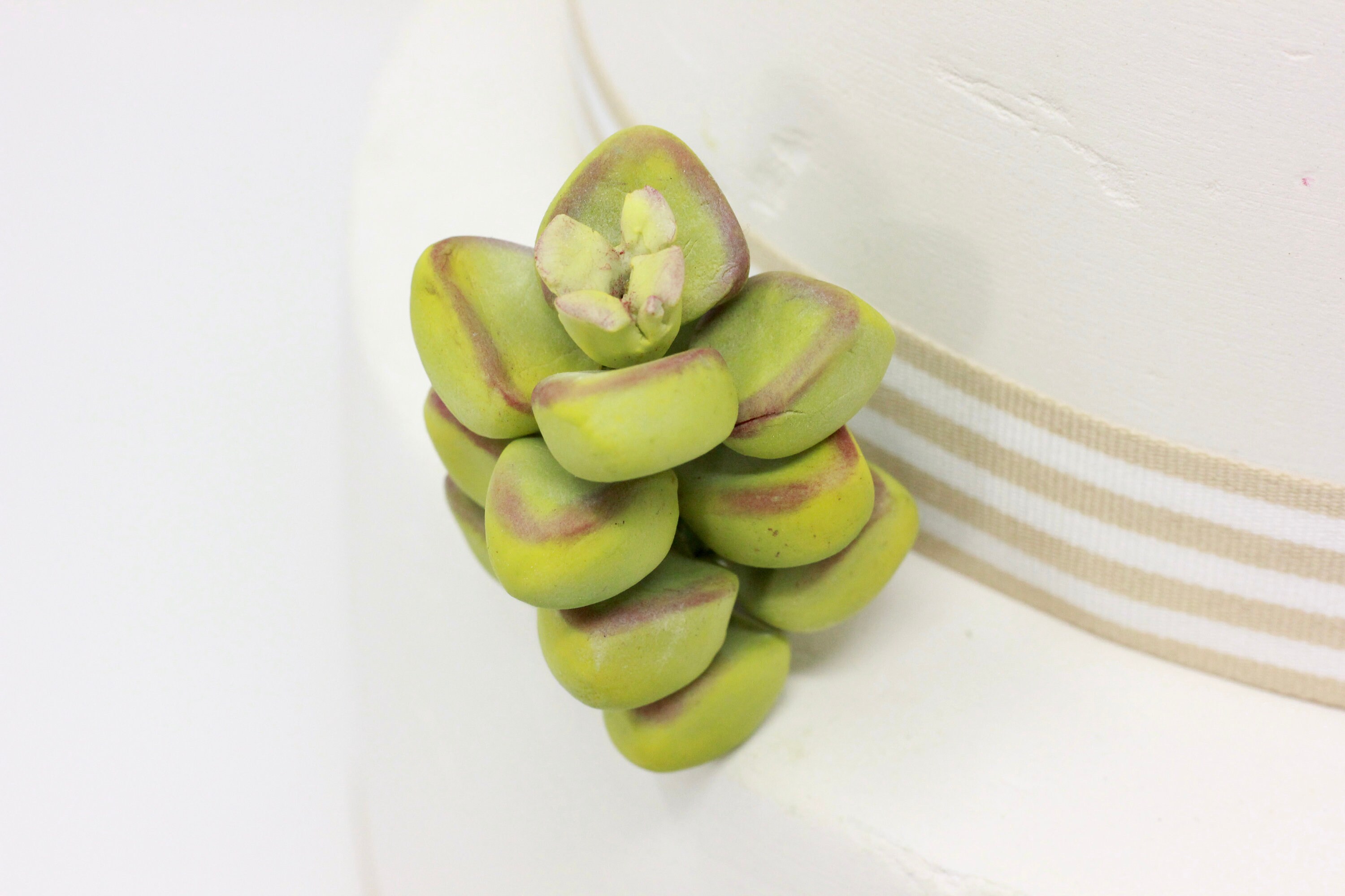 Succulent Cake Topper Decor Decoration for Bohemian Rustic | Etsy