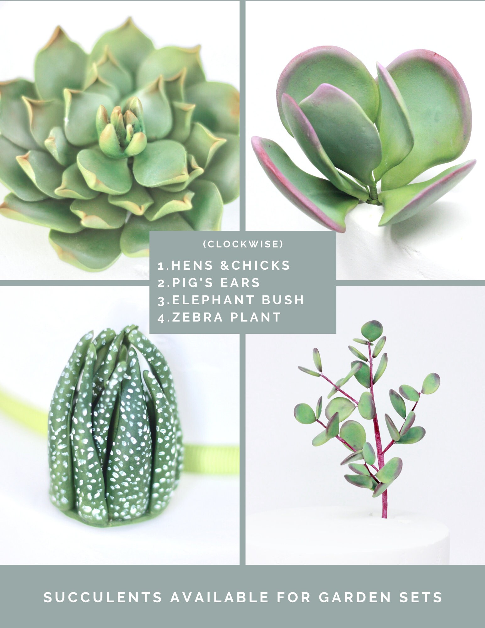 Succulent Cake Topper Decoration Decor for Theme Wedding | Etsy