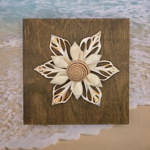 May include: A square dark brown wooden plaque featuring a symmetrical arrangement of white and tan seashells. The shells are layered to form a star-like pattern with a single circular, spiraled brown and white shell centered in the middle.