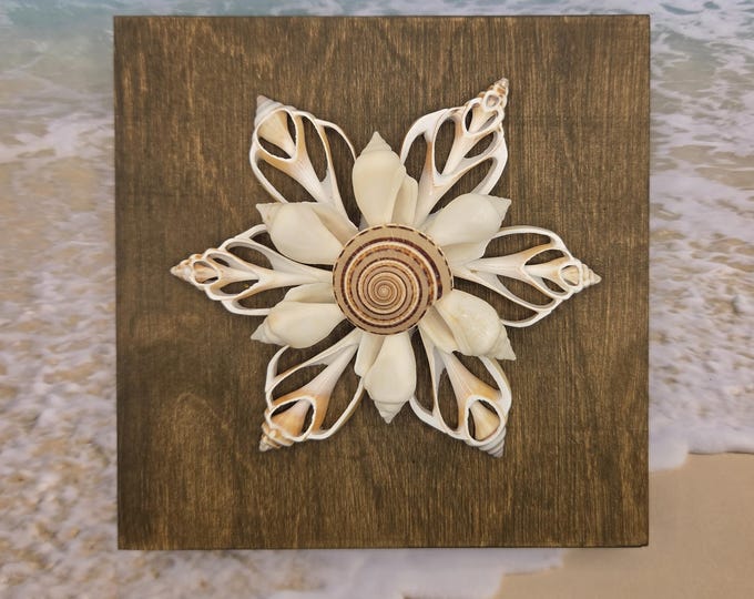 Seashell Decor: Snowflake Flower Art