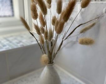 Pretty Verona Mini Bud Vase with Dried "Bunny Ears" Legurus Ovatus Stems