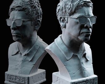 Noel Gallagher's Bust | Paperweight | Live 2025 Manchester Heaton Park Outfit |