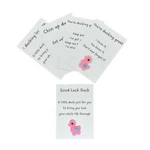Duck Gift Pocket Hug Get Well Inspirational Love Good Luck You Got this Favour