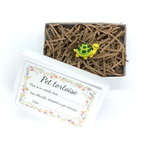Pet Tortoise Gift Lucky Charms Stocking filler Cute Animal Adoption Novelty Matchbox Gift