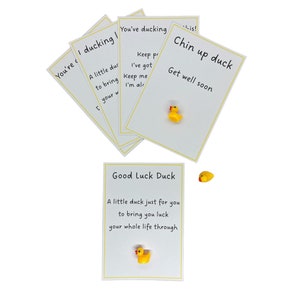 Eend cadeau zakknuffel beterschap inspirerende liefde veel geluk deze gunst heb je gekregen
