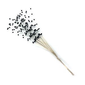 Takje Gipskruid Gypsophila Kunstbloem Versiering Knutselen Met Zwarte Kralen