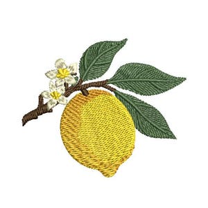 Citronbroderidesign: Blommor, löv - Maskinbroderifil (5 storlekar, digital nedladdning)