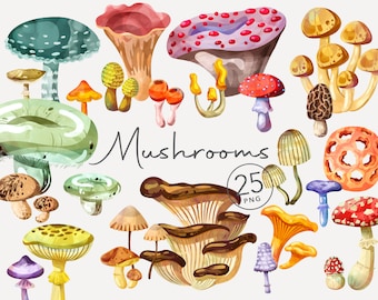 Aquarell Pilze Clipart Pilz Clipart Natur Clipart Pflanzen Clip Art Austerenpilz Pilze Herbstwald Clipart Instant Download PNG