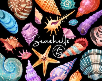 Watercolor Seashells Clipart Shell Clipart Nautical Clip Art Nursery Clam Starfish Sea Snail Conch Ocean Sea Life Beach Instant Download PNG