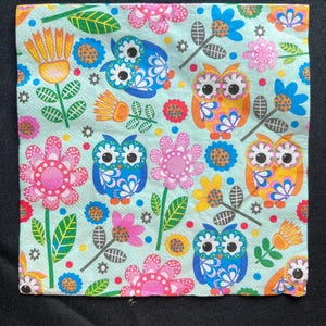 Colorful Owls - Napkin for Decoupage Crafts Scrapbooking Approx 6.5”x6.5” (2 Count)