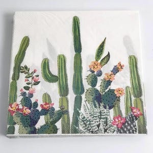 Cactus Garden Napkin Decoupage Crafts 6x6 (2 Count)