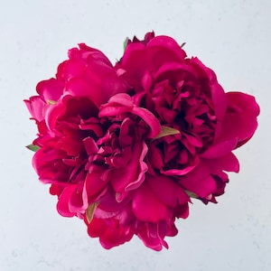 May include: A bouquet of vibrant magenta peonies, arranged in a tight cluster, showcasing their delicate petals and layered blooms.
