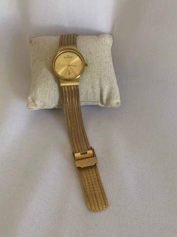 Skagen Steel Ladies Wrist Watch Gem