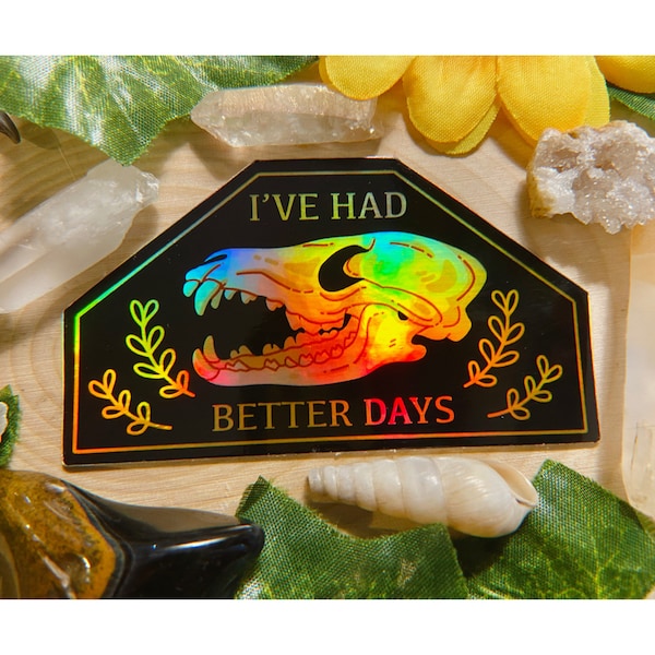 Holographic I’ve Had Better Days Sticker