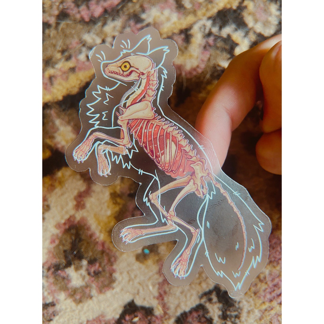 Clear Fox Skeleton Sticker - Etsy Canada