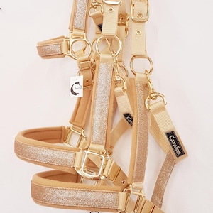 Halter for horses glitter gold headcollar for horses glitter gold halter for horses with name headcollar for horses with name