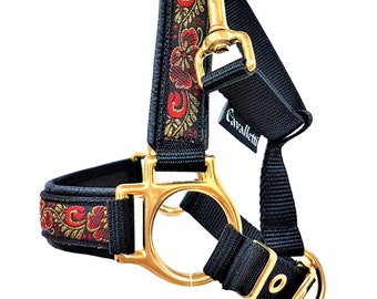 Licol Mini Shetty "Marie Antoinette" licol pour cheval taille Mini Shetty noir or Minishetty licol noir or rouge