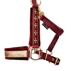 Halter / headcollar size Full &quot;Parcival&quot; halter for horses size full personalisable