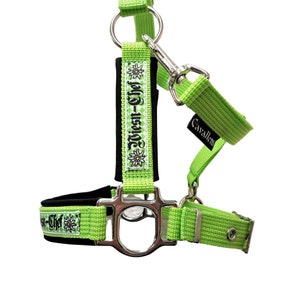 Halter headcollar Mini Pony / Miniature Horse &quot;Wiesn Chef&quot; halter for horses size xs headcollar for horses