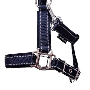Halter / headcollar Mini Pony &quot;Twinkel&quot; halter for horses reflector halter for horses size XS headcollar for horses reflector halter