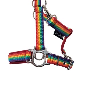 halter for horses size mini pony &quot;Rainbow&quot; headcollar for horses size mini pony &quot;Rainbow&quot; halter for horses size xs horsehalter size xs