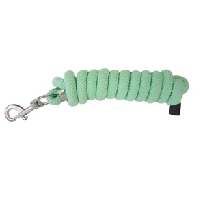 Op de afbeelding: Een groene katoenen leidtouw met een zilveren karabijnhaak en een zwarte eindkap.