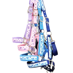 May include: A set of four horse halters in different colors, each with a heart pattern. The halters are made of nylon and have a padded noseband. The halters are all in different colors, including pink, blue, and purple.