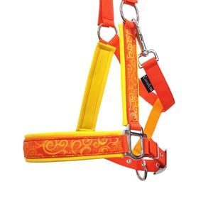 May include: A horse halter with orange and yellow accents. The halter features a decorative orange pattern with swirls and the brand name "Cavalletti". The halter has silver metal hardware and is designed for equine use.