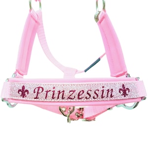 Halter Mini Shetty « Star Shine Princess » ~ Halter / Licol Mini Poney