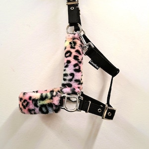 Könnte beinhalten: Schwarzer Pferdehalfter mit Leopardenmuster. Der Halfter hat eine weiche, farbenfrohe Leopardenmusterpolsterung in Rosa, Gelb und Schwarz. Der Halfter hat silberfarbene Metallbeschläge und der Markenname "Cavalleri" ist auf dem schwarzen Riemen aufgedruckt.