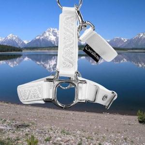 horsehalter mini size "Swanlake"white silver horse halter headcollar for horses xxs size miniature horse white silver fittings