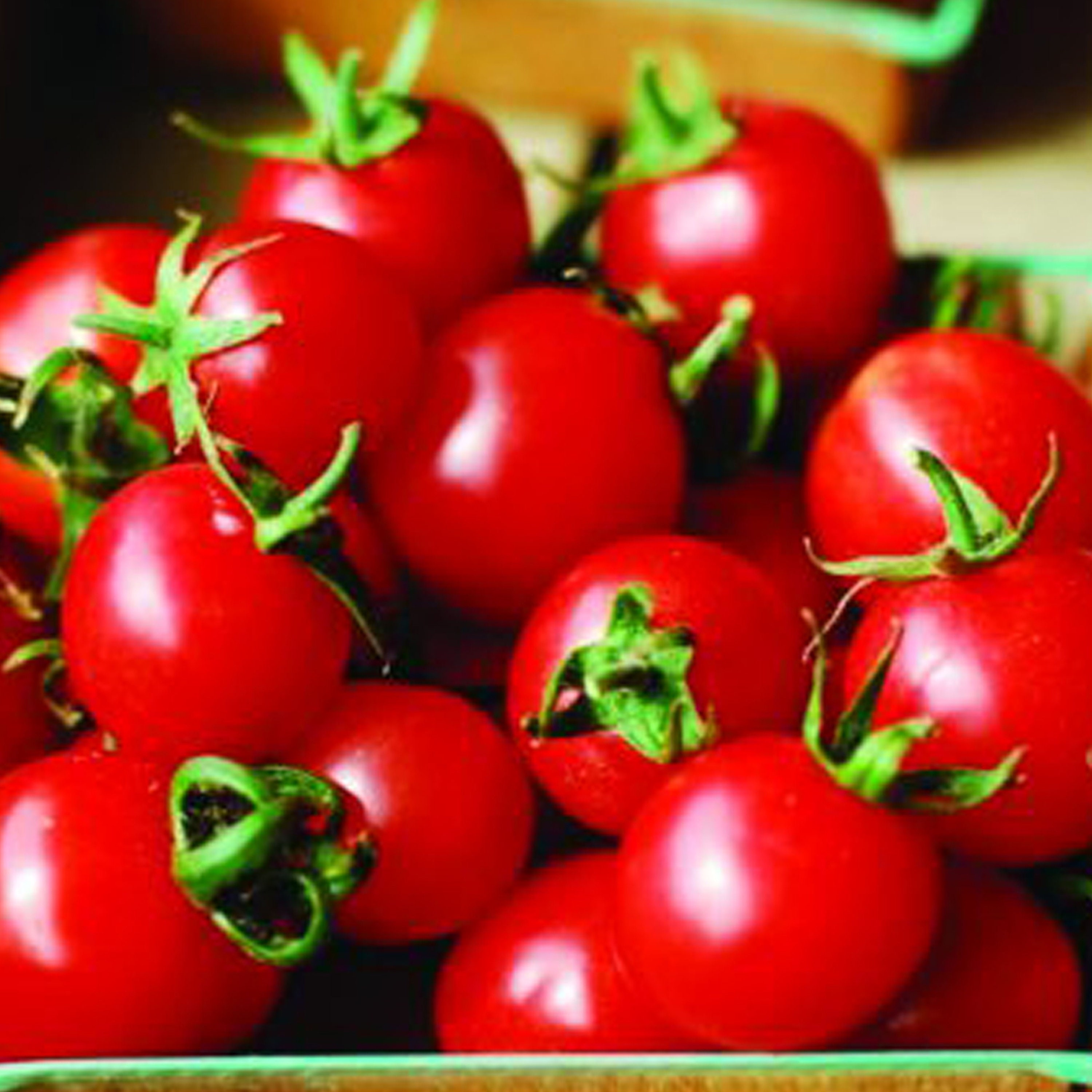 Large Red Cherry Tomatoes Seeds Heirloom Open Pollinated USA Etsy