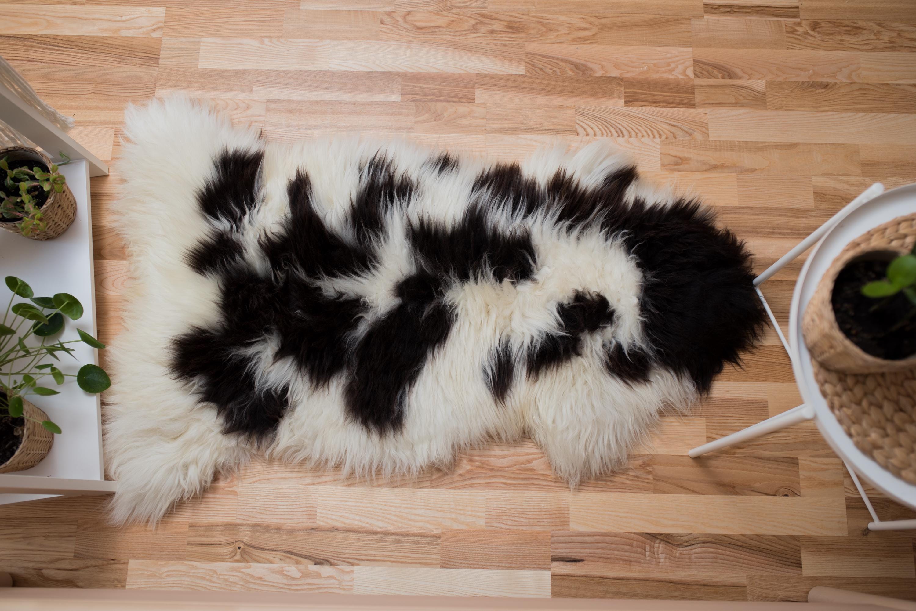 Spotted Outdoor Rug Original, Natural GIANT Rug Spotted Genuine Natural Sheepskin Rugs ...