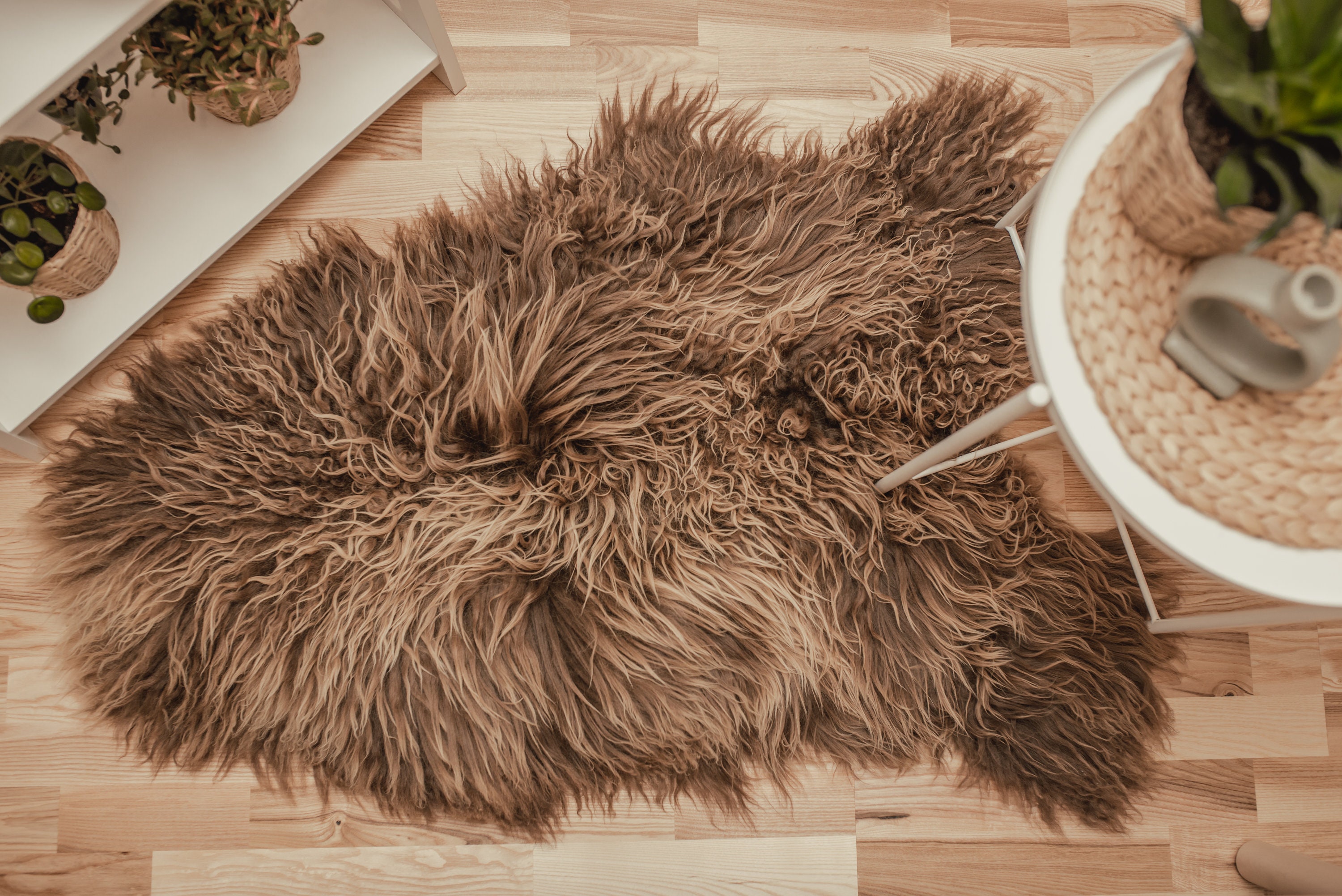 Curly Wool Icelandic Sheepskin Natural Colors Rugs Amazing Sheepskin ...