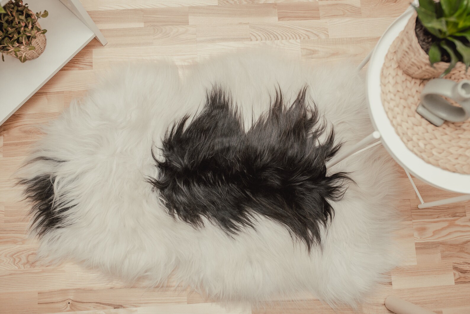 Sheepskin Natural Spotted Icelandic Rugs, Amazing Sheepskin, for Gift ...