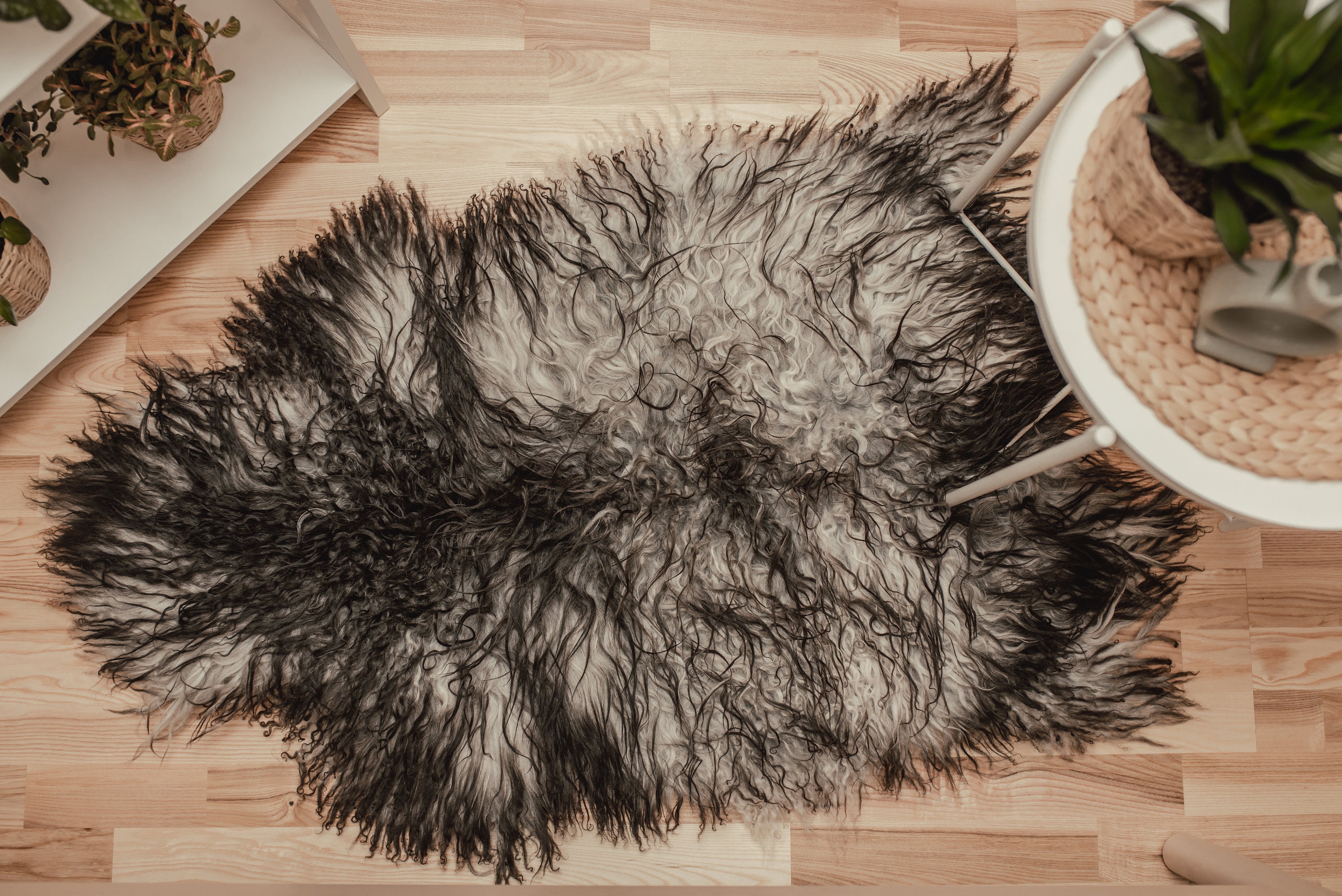 Curly Wool Icelandic Sheepskin Natural Colors Rugs Amazing Sheepskin ...