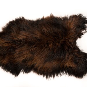 Icelandic Genuine Sheepskin Rug, Rust Black, Single Animals Pelt ...
