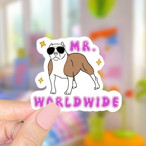 Pitbull Mr Worldwide Vinyl Sticker | Stickers for Water Bottles | Laptop Stickers | Funny Meme Stickers