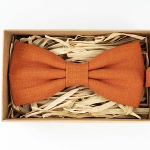 May include: A burnt orange bow tie in a cardboard box filled with shredded paper.