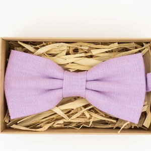 Light purple color bow tie / Boys bow tie / Anniversary gift for men