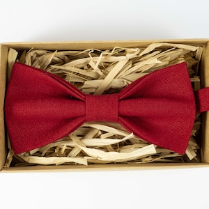 Red wedding bow tie for groomsmen / mens tie / bowties