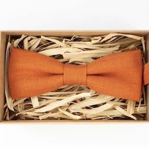 Burnt orange bow ties for men / Boyfriend gift / Pocket square / Linen tie