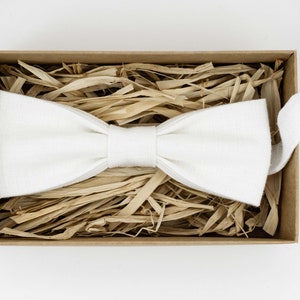 Puede incluir: Una pajarita blanca en una caja de cartón marrón con papel triturado.