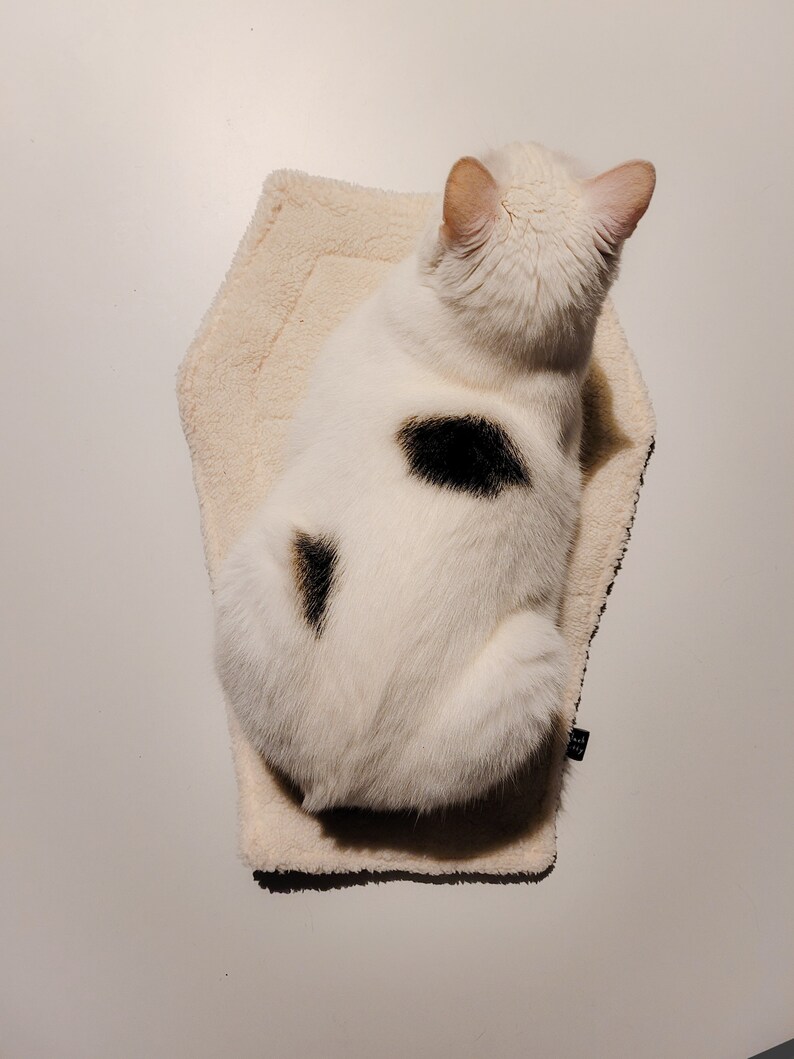 Coffin Shaped Pet Bed Cat Bed Dog Bed Gothic Halloween Pet Etsy