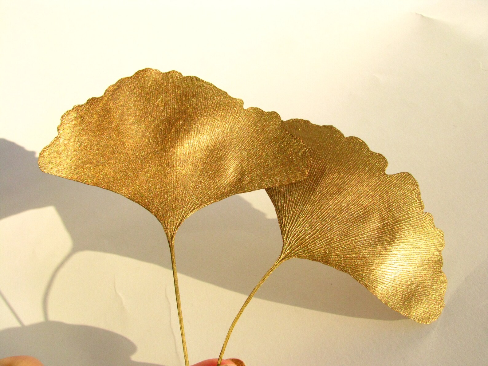 Real Ginkgo Leaves Gold Enamelcovered Pressed Ginkgo Etsy