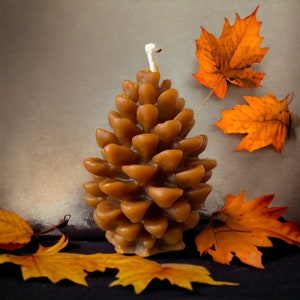 May include: A brown beeswax candle shaped like a pine cone with a white wick. The candle is surrounded by autumn leaves.
