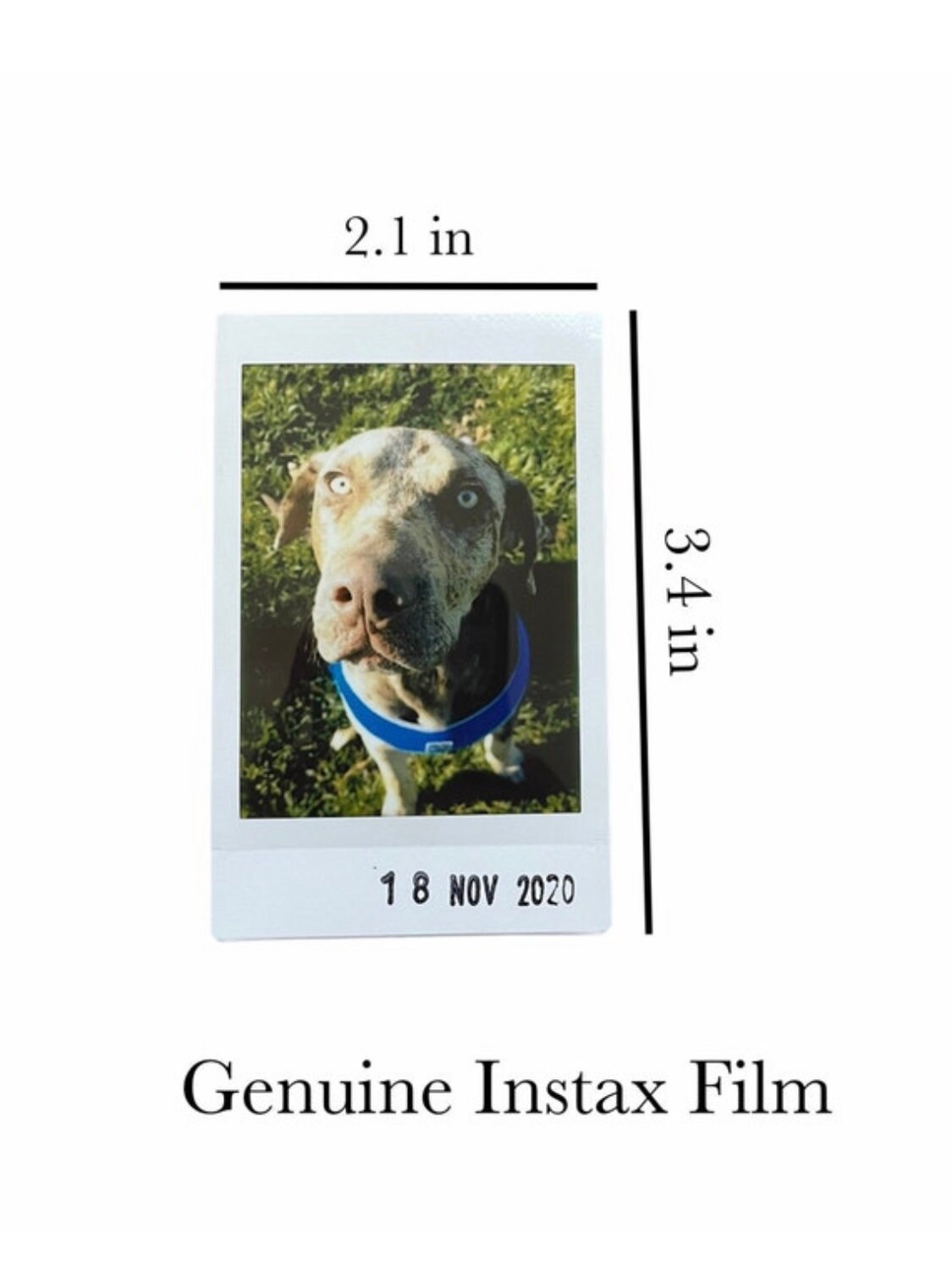 Custom Photo Float Frame, Mini Photo Floating Frame, Metal Photo Frame ...