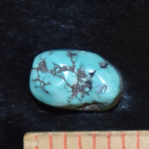 White River Turquoise Seafoam Cabochon/21 Carats/Lot #9