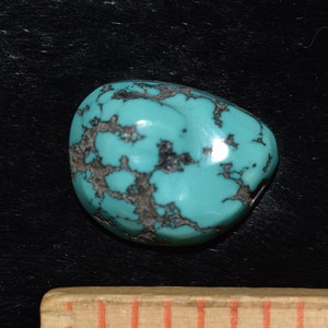 White River Turquoise Seafoam Cabochon/22.5 Carats/Lot #28